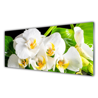 Akril üveg kép Orchidea virágok Természet