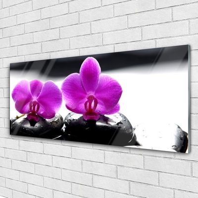 Akrilkép Orchidea virágok Természet