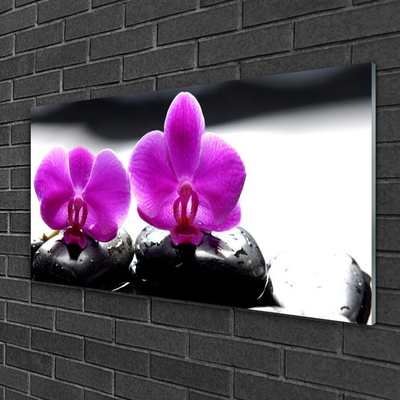 Akrilkép Orchidea virágok Természet