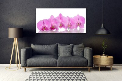 Akrilüveg fotó Rózsaszín orchidea virágok