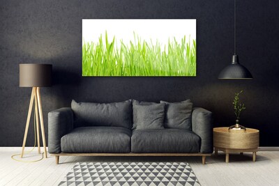 Akrilüveg fotó Grass Nature Plant