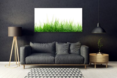 Akrilkép Grass Nature Plant