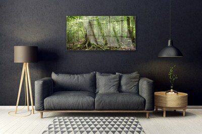 Akrilkép Nature Jungle Erdei fák