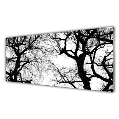 Akrilkép Fák Természet fekete-fehér