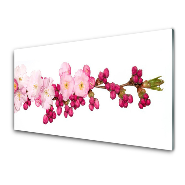 Konyhai hátfal panel Cherry blossom twig