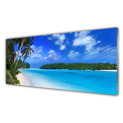 Konyhai falvédő panel Palm beach sea
