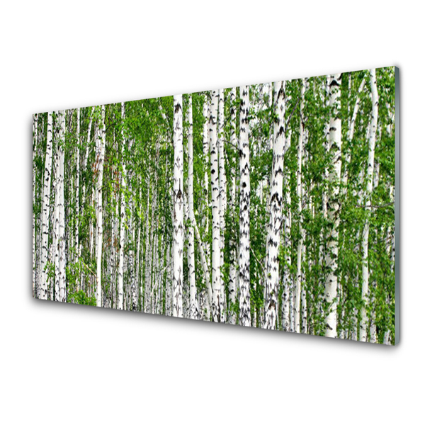 Konyhai hátfal panel Nyírfa erdő természetvédelmi