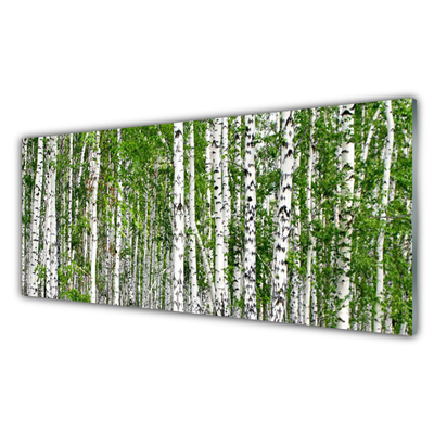 Konyhai hátfal panel Nyírfa erdő természetvédelmi