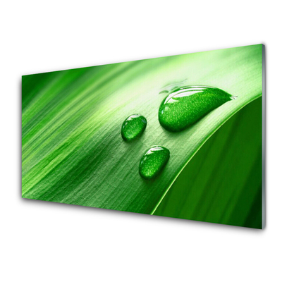 Konyhai falvédő panel Leaf water drops