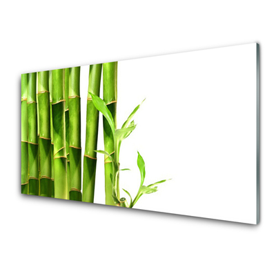 Konyhai panel Bambusz növény