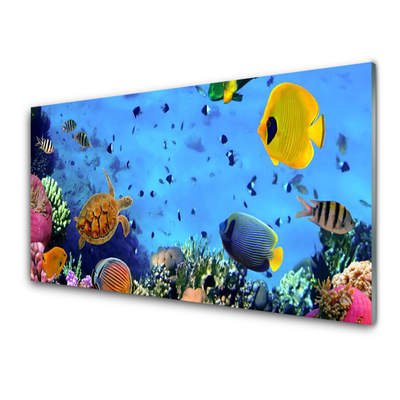 Konyhai hátfal panel Coral reef halak természet