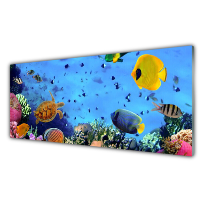 Konyhai hátfal panel Coral reef halak természet