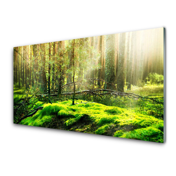 Konyhai üveg panel Forest moss természet