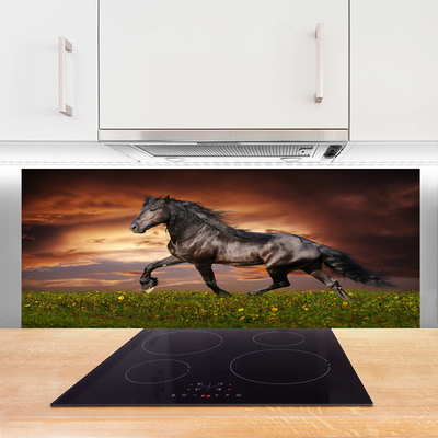 Konyhai hátfal panel Black horse meadow állatok