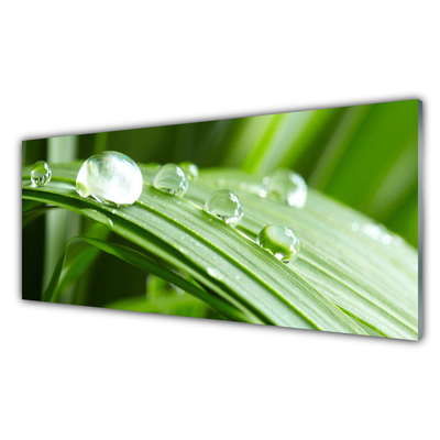 Konyhai fali panel Leaf dew drops