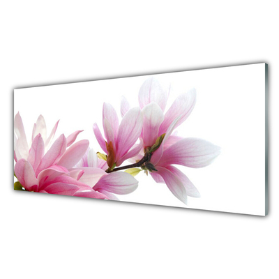 Konyhai hátfal panel Magnolia flower