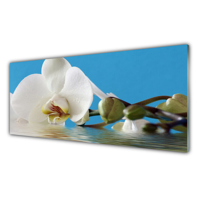 Konyhai üveg panel Természet virág növény