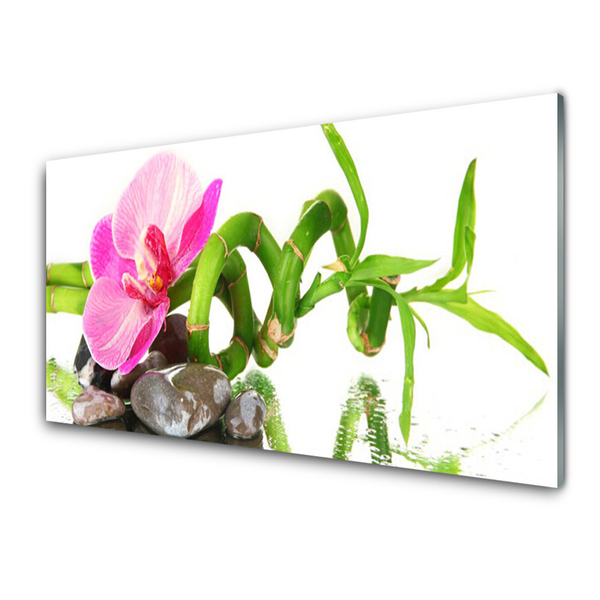 Konyhai hátfal panel Természet virág növény