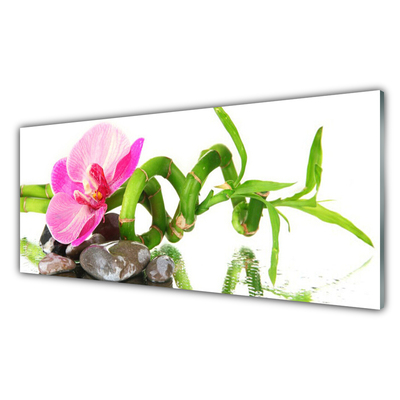 Konyhai hátfal panel Természet virág növény