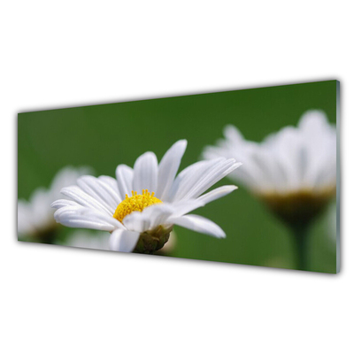 Konyhai panel Daisy a wall