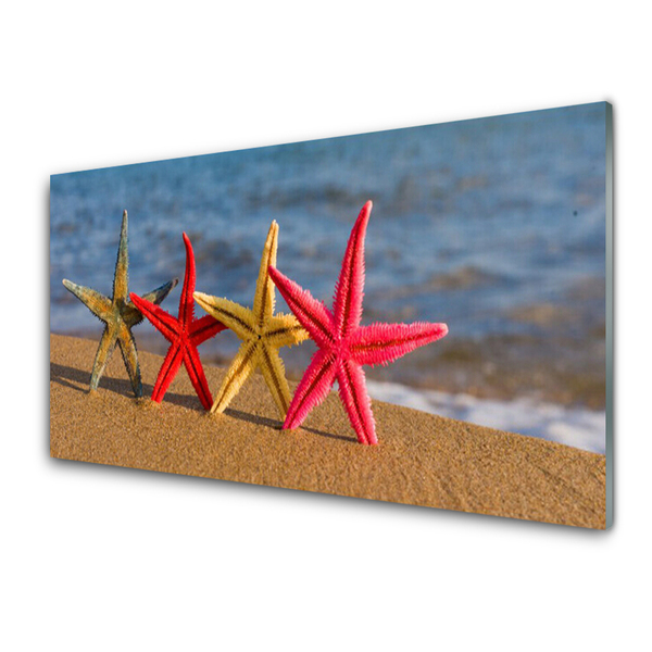 Konyhai falvédő panel Starfish beach art