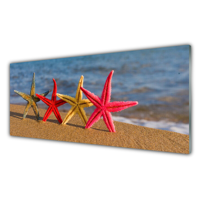 Konyhai falvédő panel Starfish beach art