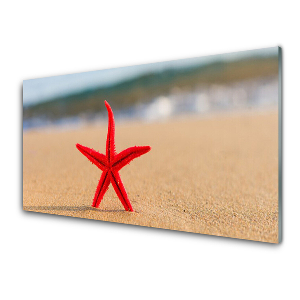 Konyhai fali panel Starfish beach art