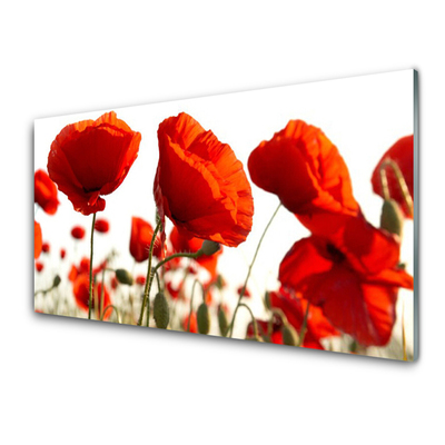 Konyhai fali panel Tulipán virágok