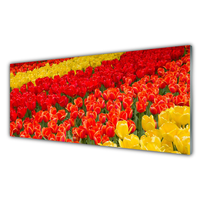 Konyhai üveg fali panel Tulipán virágok