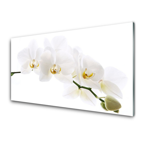 Konyhai panel Orchidea virágok