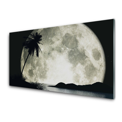 Konyhai fali panel Éjszakai hold táj palm