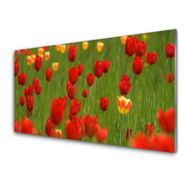 Konyhai hátfal panel Üzem tulipán