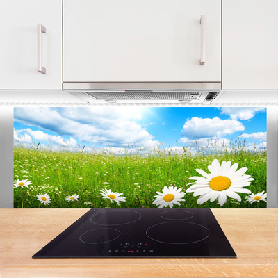 Konyhai panel Daisy grass nature