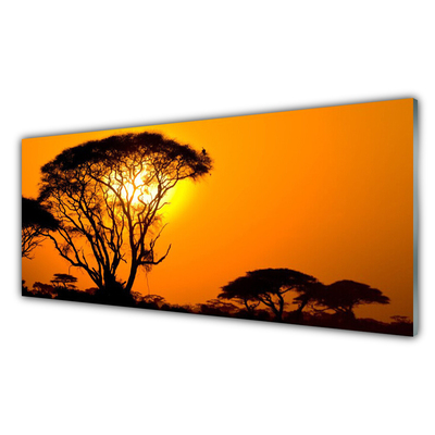 Konyhai hátfal panel Nature fa nap