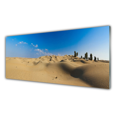 Konyhai falburkoló panel Fekvő sivatagi homok