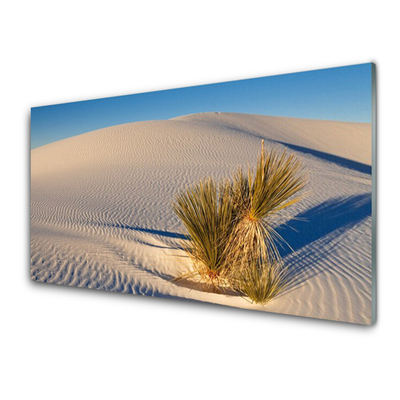 Konyhai panel Fekvő sivatagi homok