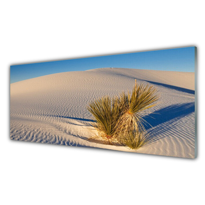 Konyhai panel Fekvő sivatagi homok