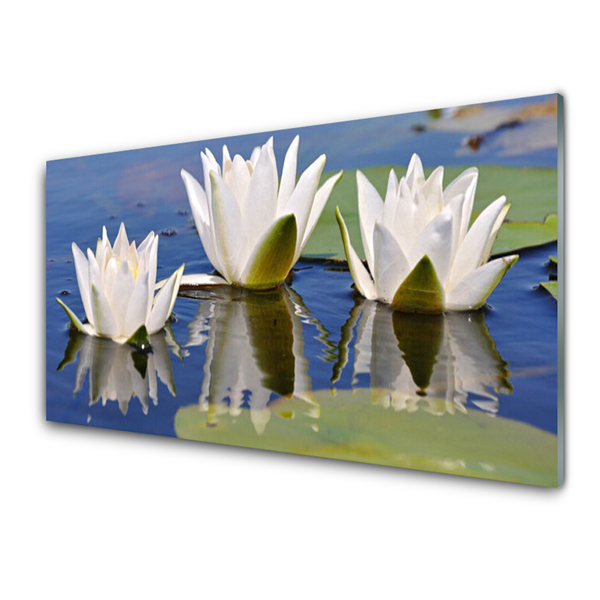 Konyhai hátfal panel Virágok növények