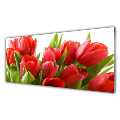 Konyhai hátfal panel Tulipán virágok plant