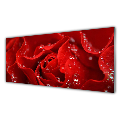 Konyhai panel Rózsa virág növény természet