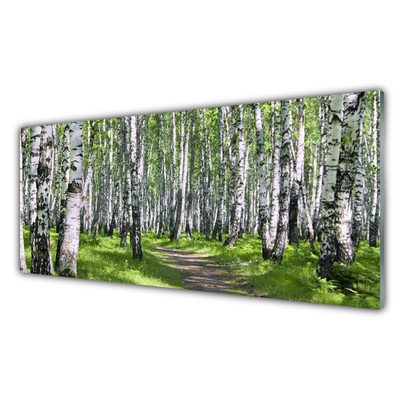 Konyhai hátfal panel Erdei fák természet path