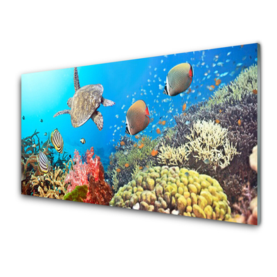 Konyhai fali panel Korallzátony táj