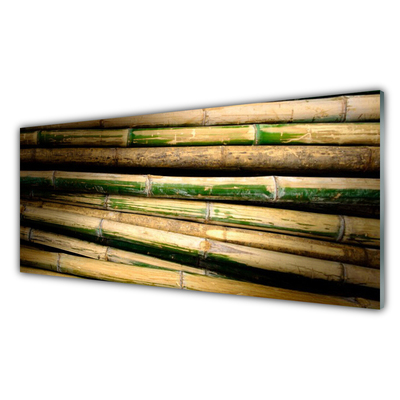 Konyhai falvédő panel Bambusz növény természet