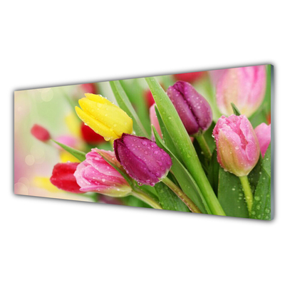 Konyhai panel Tulipán virágok plant