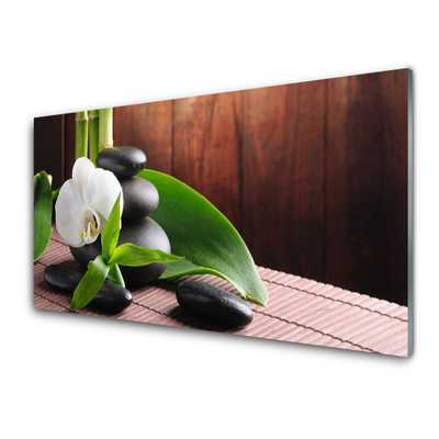 Konyhai falvédő panel Orchidea virág spa