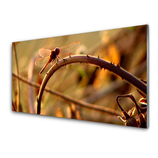 Konyhai falvédő panel Dragonfly nature plant