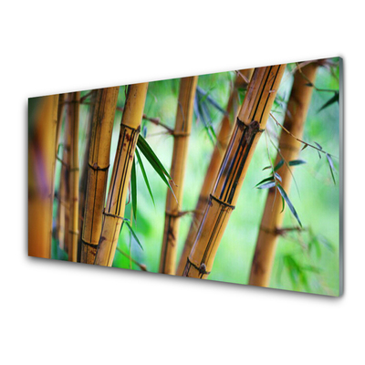 Konyhai falvédő panel Nature bambusz növény