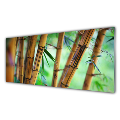 Konyhai falvédő panel Nature bambusz növény