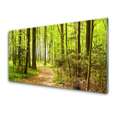 Konyhai panel Forest path természet