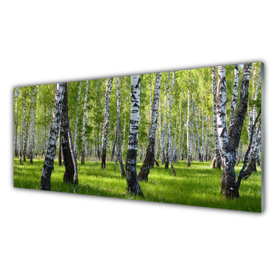 Konyhai hátfal panel Erdei fák természet